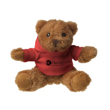 Load image into Gallery viewer, Hooded Teddy Bear